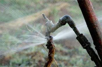 24 hour plumber